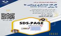 برگزاری کارگاه جداسازی پروتئین ها به روش SDS PAGE